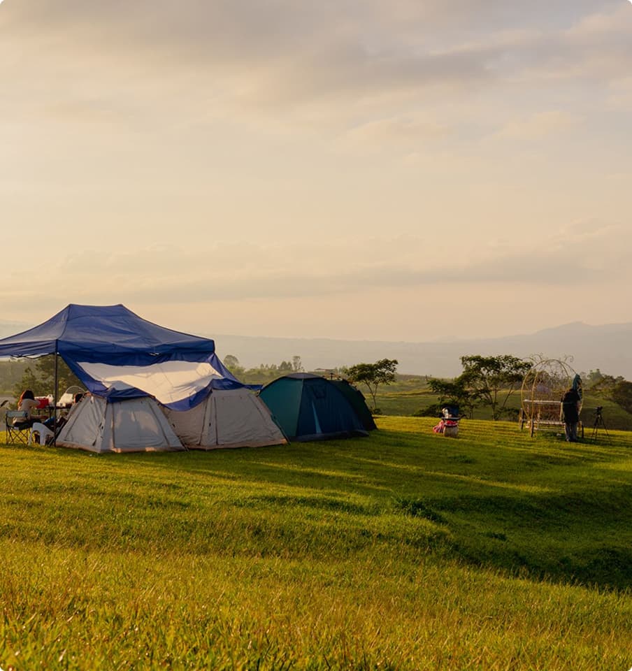 Campers’ tents on a green field at sunset