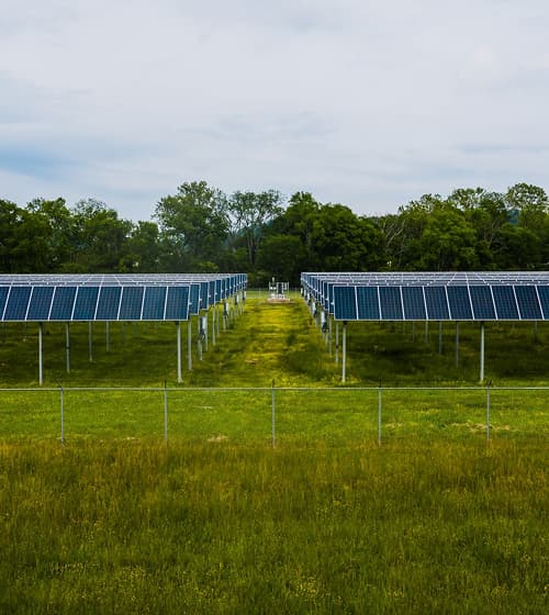 Rows of solar panels in a green field