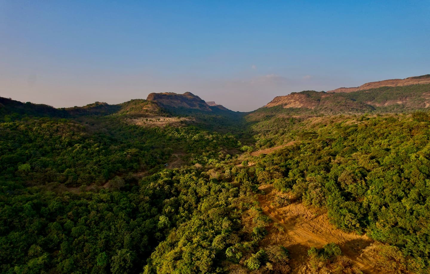 Aerial view of forested Sahyadri hills above Karjat
