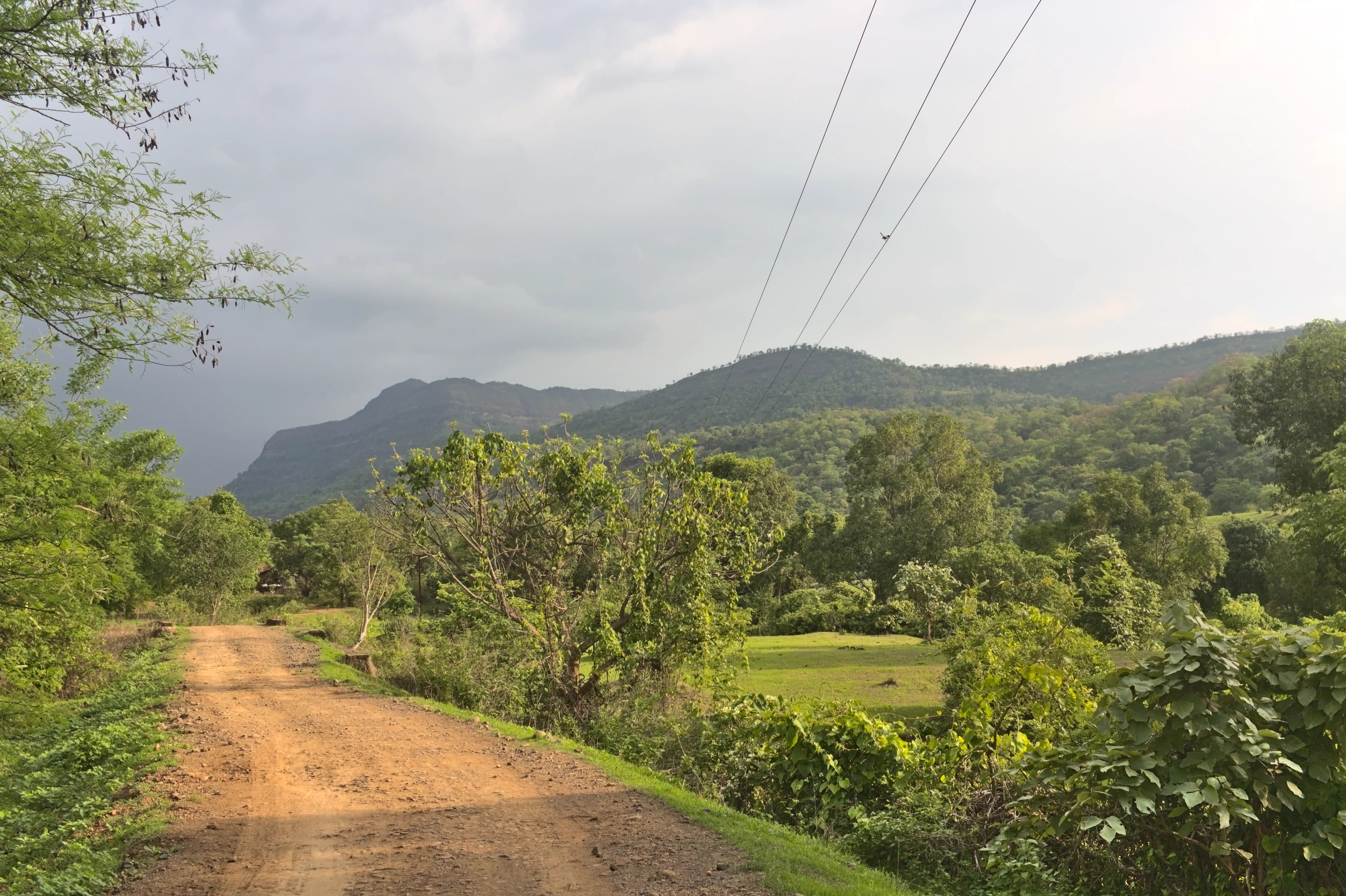 Dirt road and open clearing below the Kondana ridge near Karjat