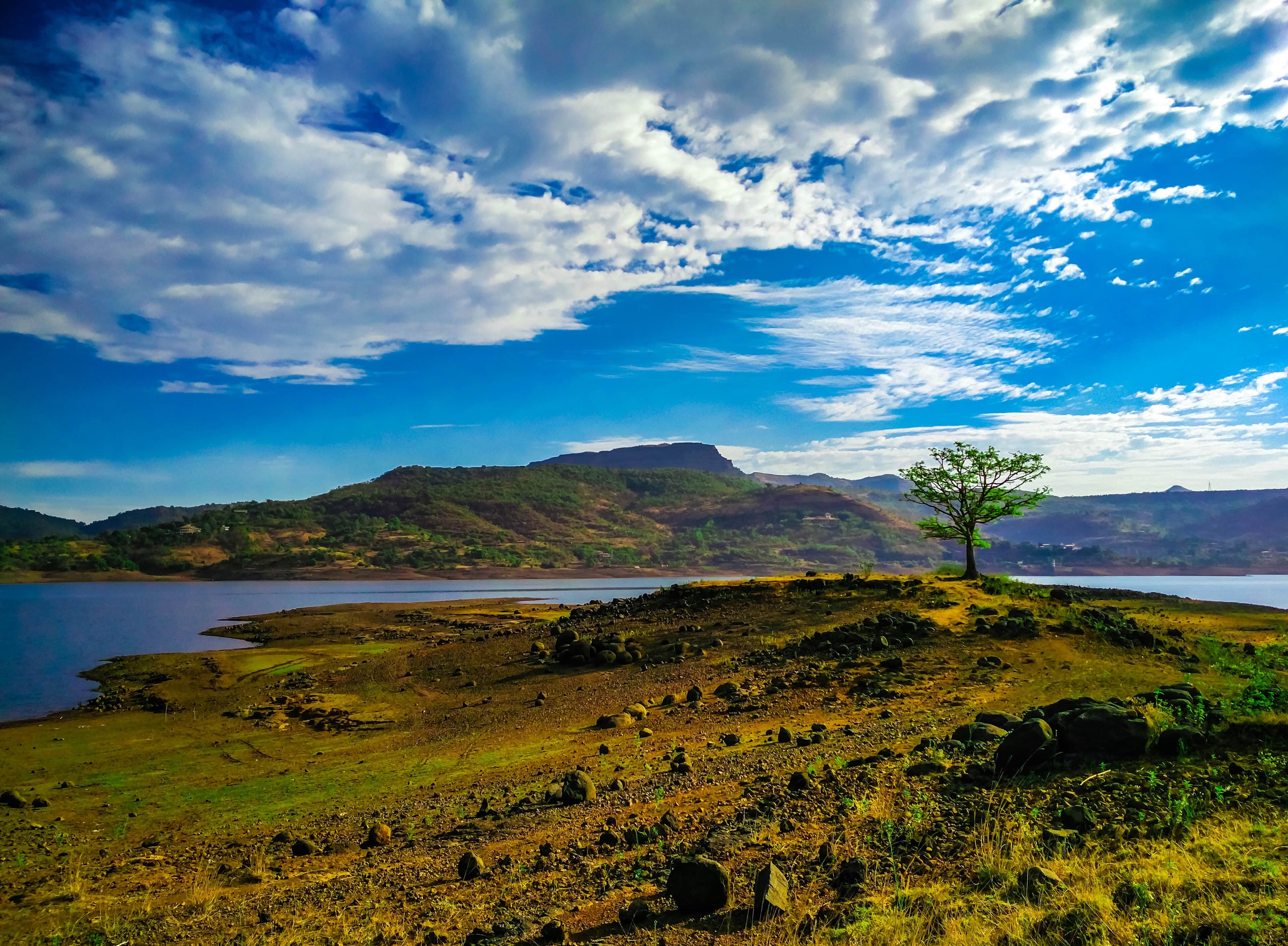 Open dry shoreland with a lone tree beside Pawna Lake and a plateau behind