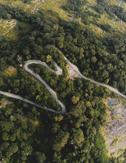 Winding internal road cut through forested hillside