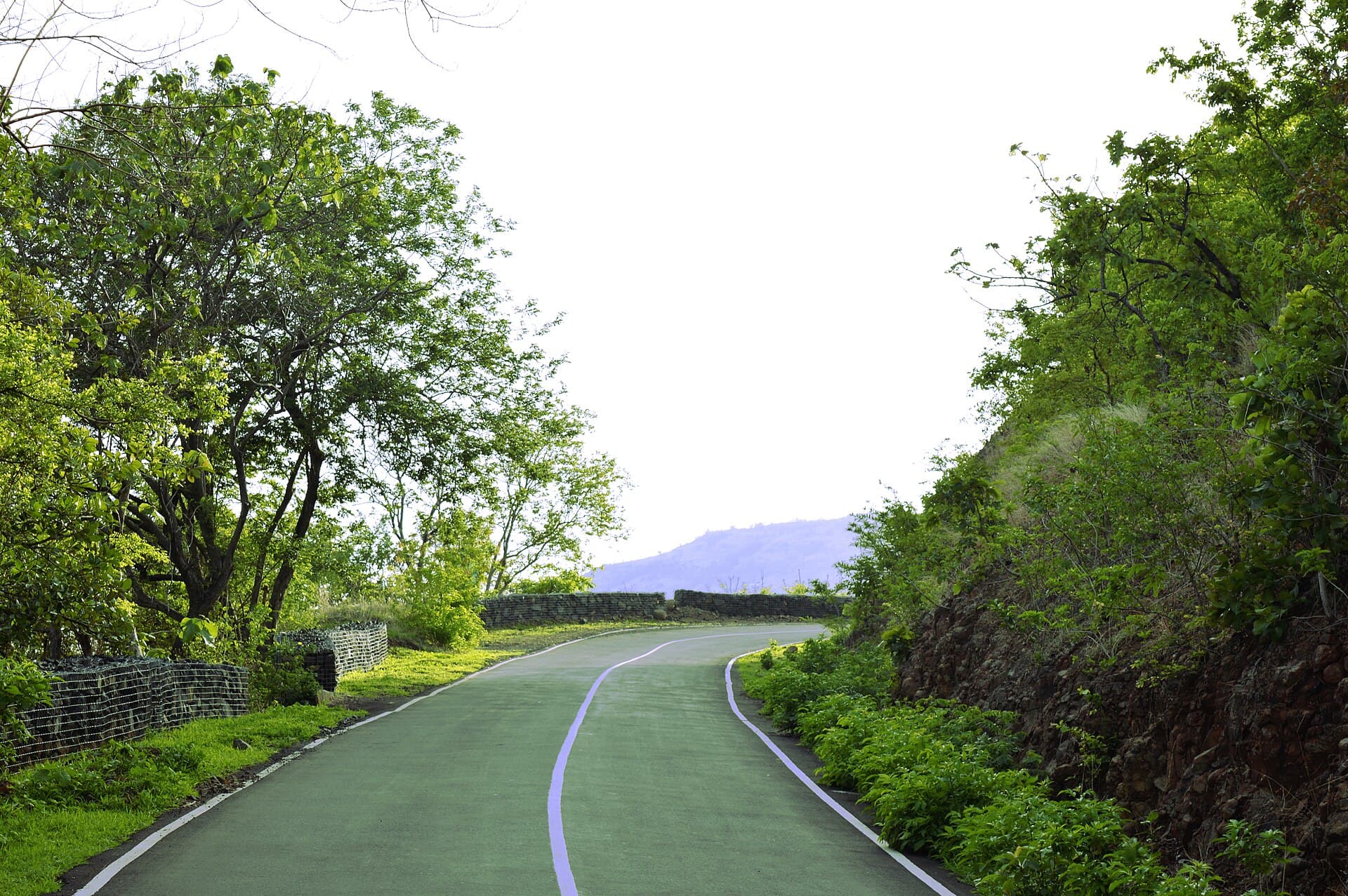 Paved road curving along a green hillside