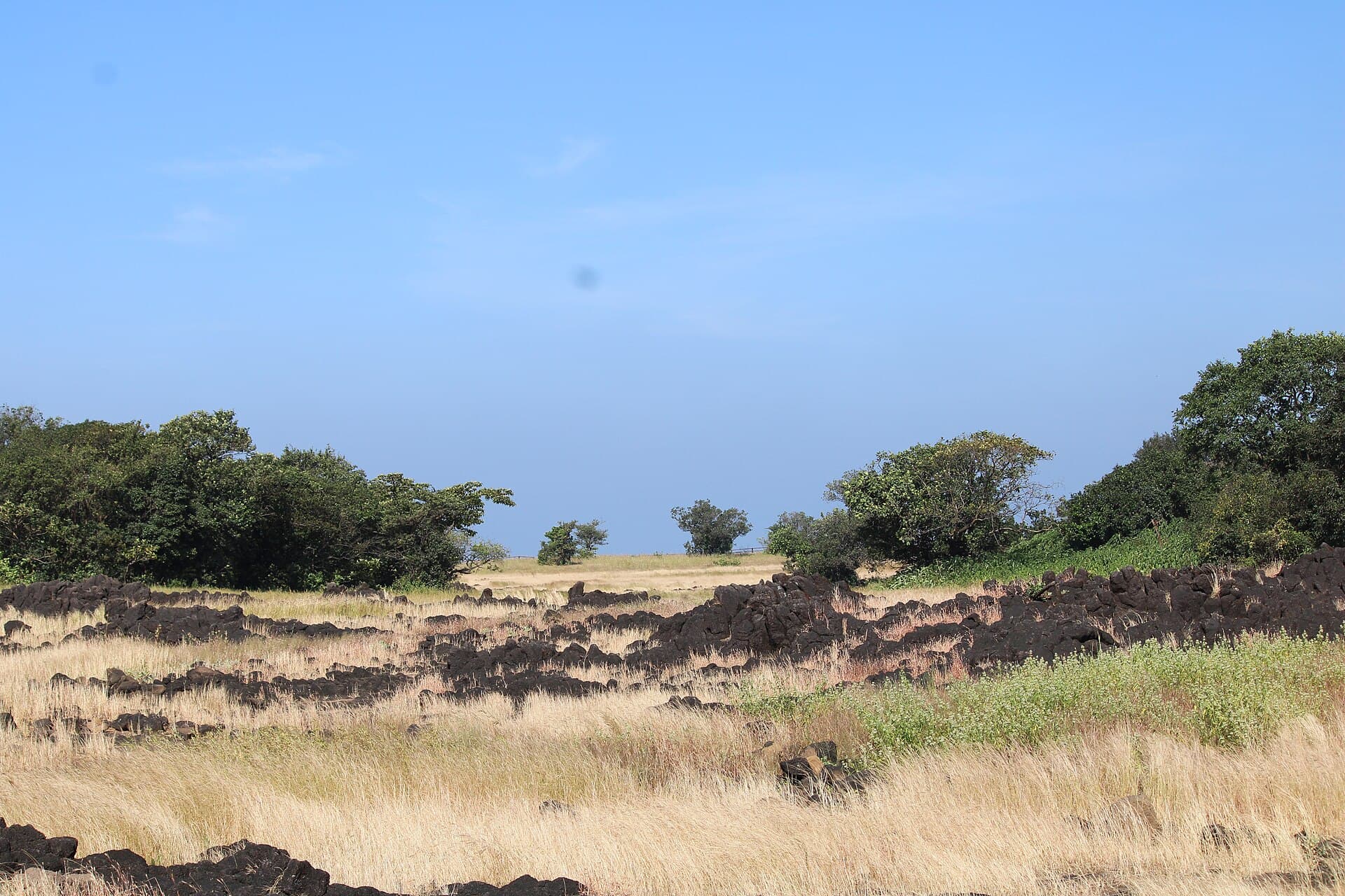 Open grassland plateau on a Sahyadri hilltop