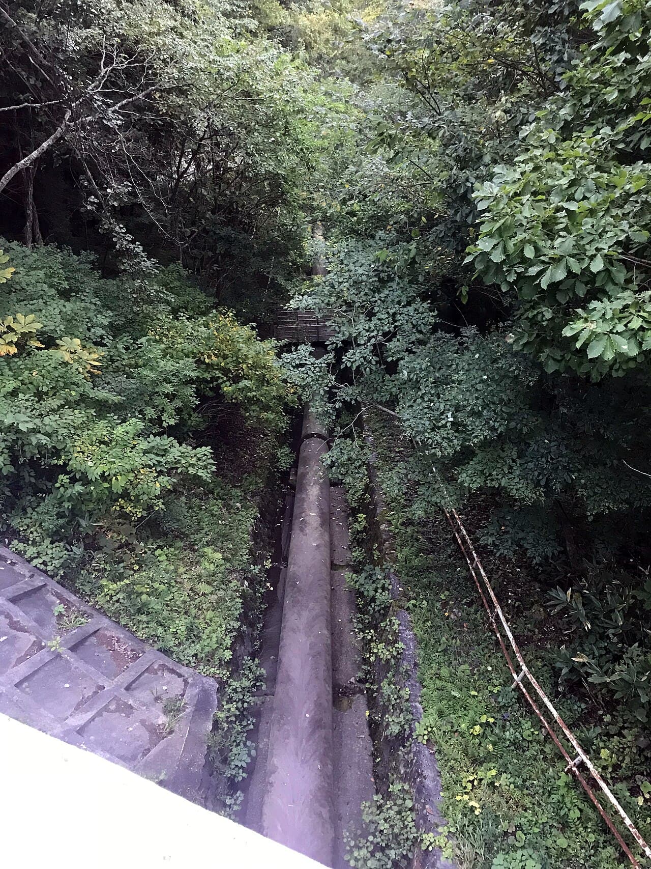 Hydro station penstock running down a forested hillside