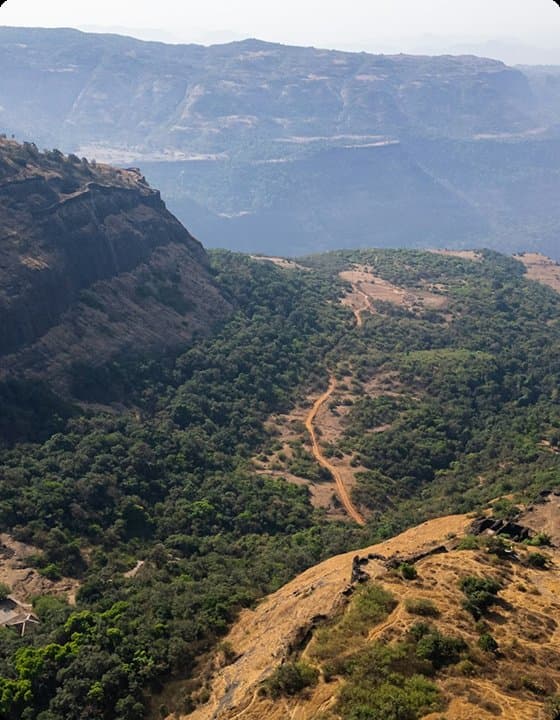 Forested river valley beneath a ridge