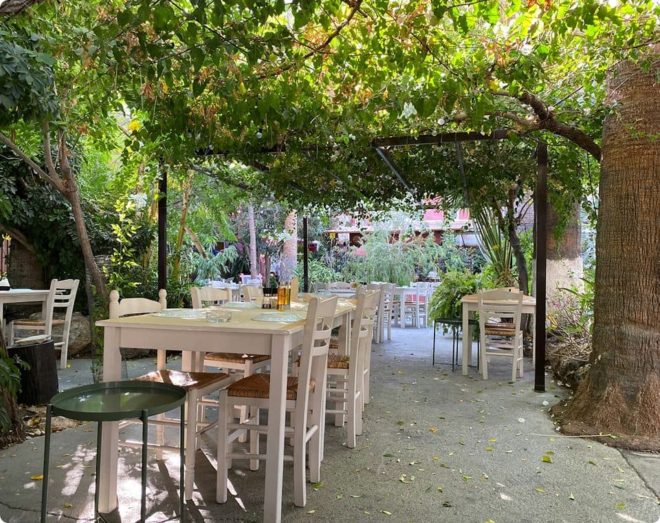 Diners at tables under a vine-covered pergola at Saltt